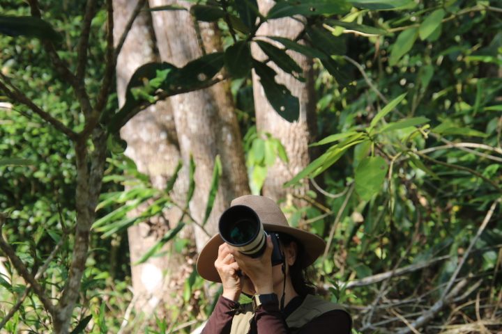 Birdwatching guide with a telephoto lens in a Madagascar forest