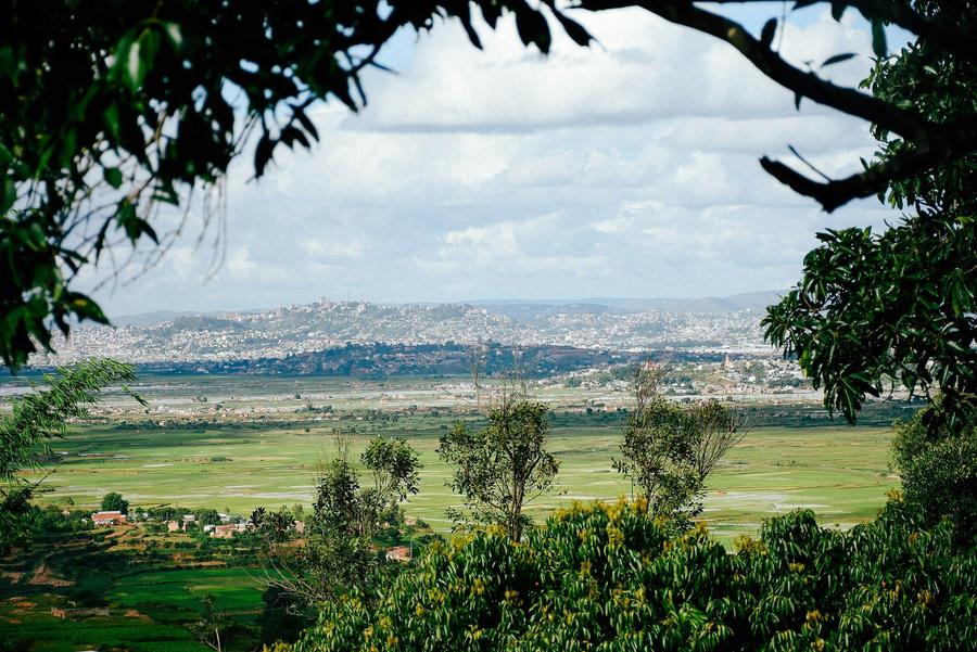 Antananarivo on its hills, seen across the rice fields from Antsahadinta