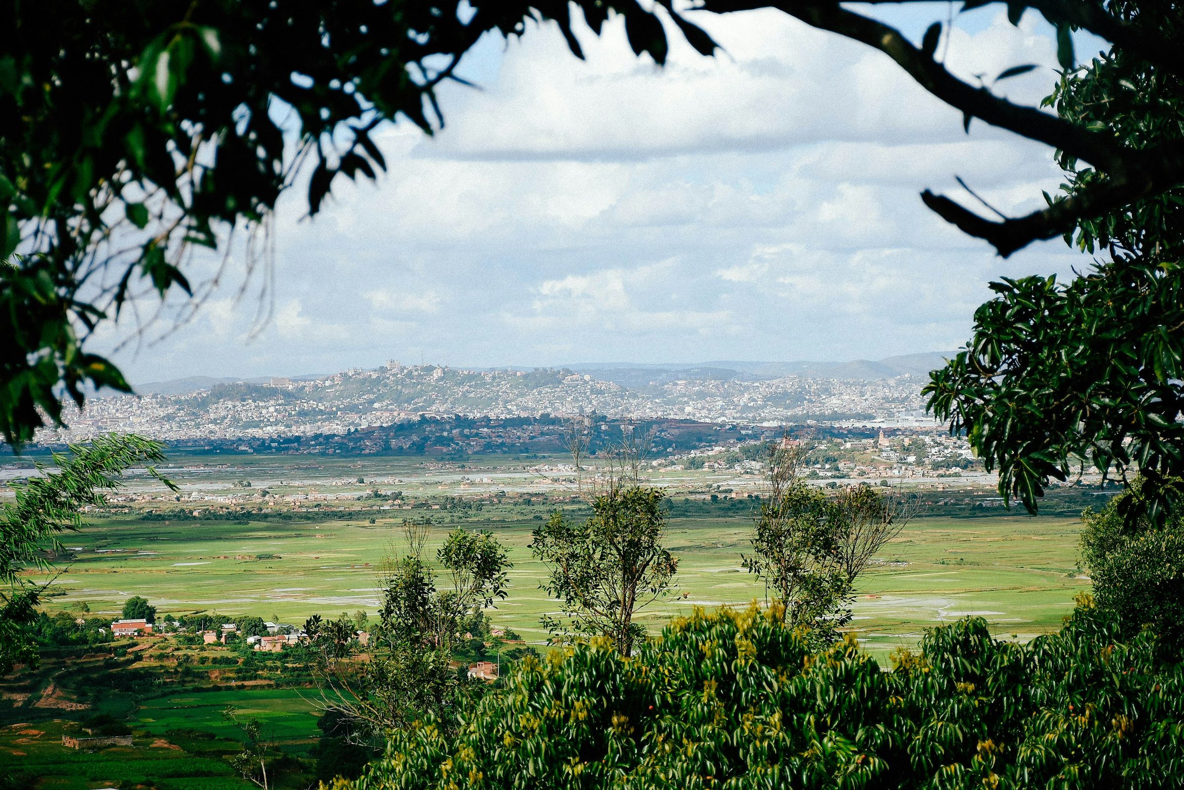 Antananarivo on its hills, seen across the rice fields from Antsahadinta