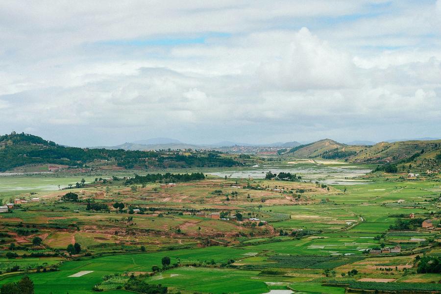Green and flooded rice paddies at Antsahadinta, in the highlands near Antananarivo