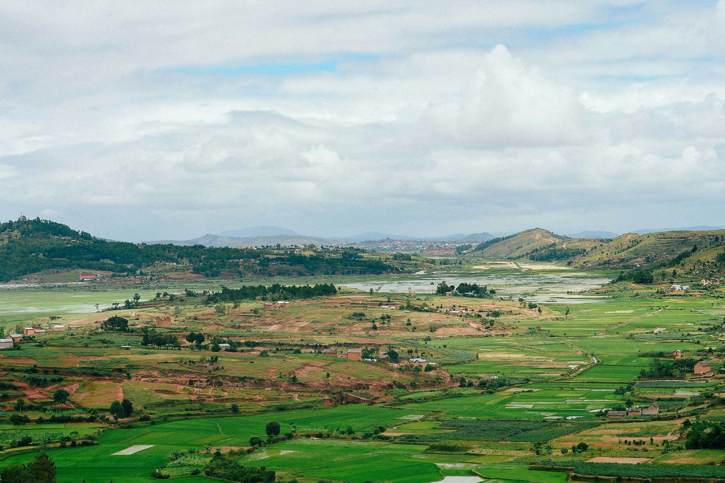 Green and flooded rice paddies at Antsahadinta, in the highlands near Antananarivo