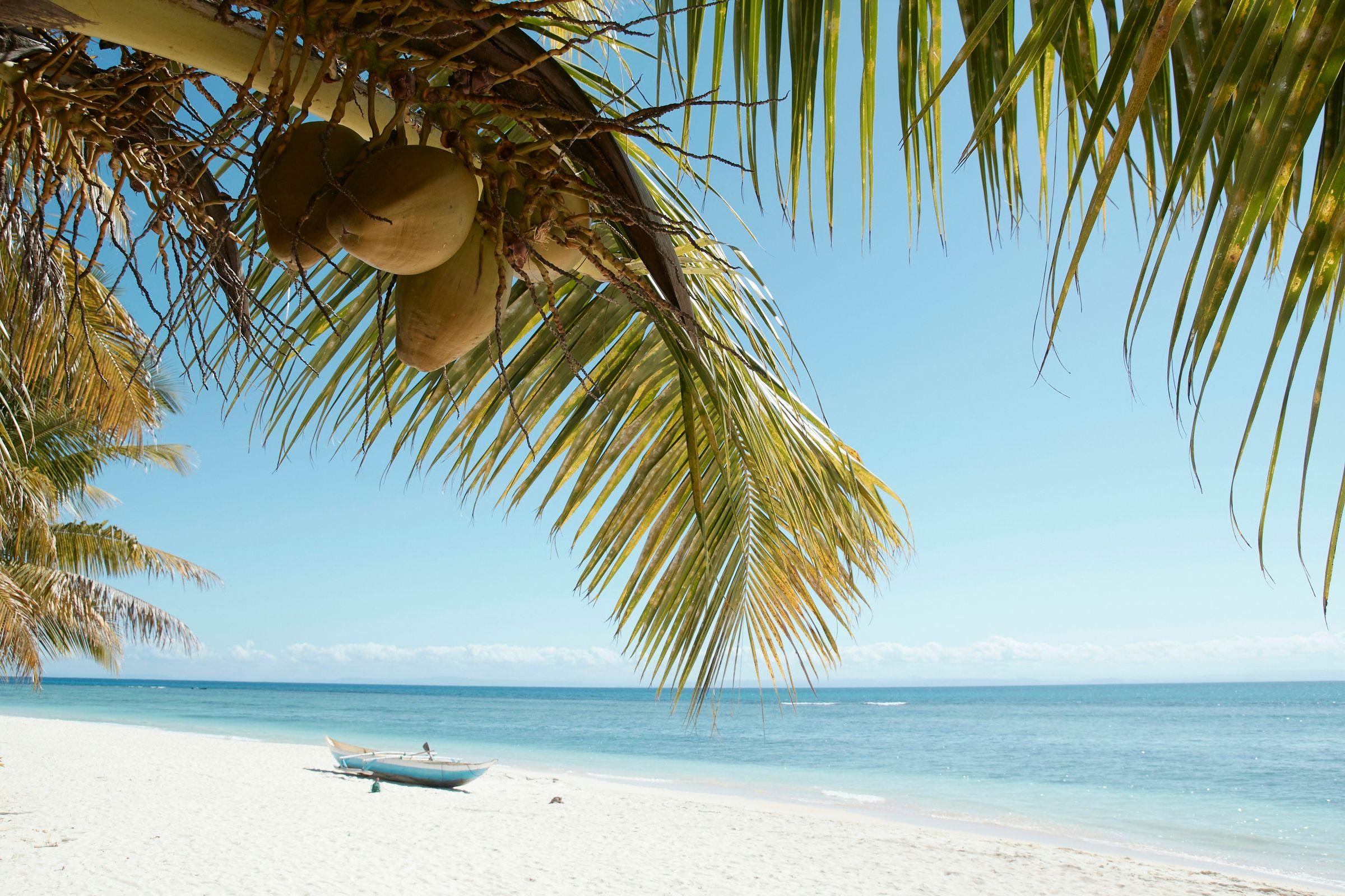 Coconut palms over a white beach and a pirogue on Île aux Nattes, off Sainte-Marie