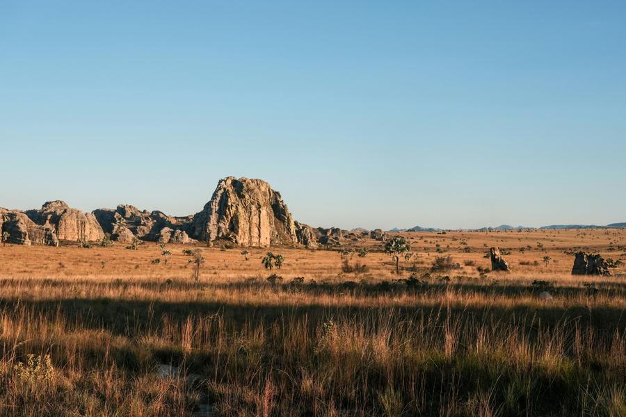 The sandstone massif of Isalo above golden grass and Bismarckia palms