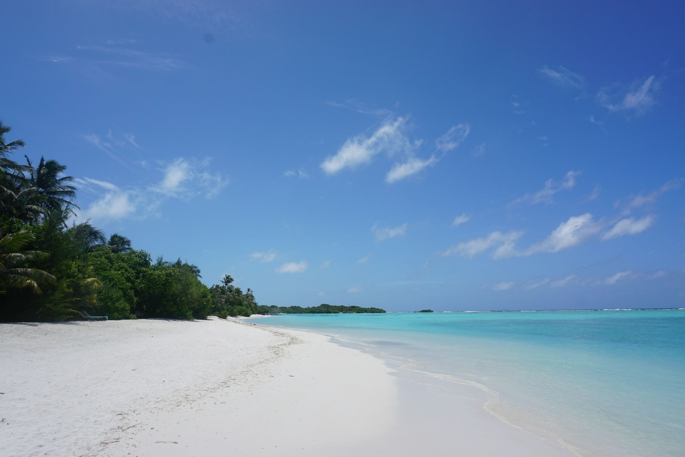 Mauritius, not Madagascar: a white beach and a turquoise lagoon edged with palms.