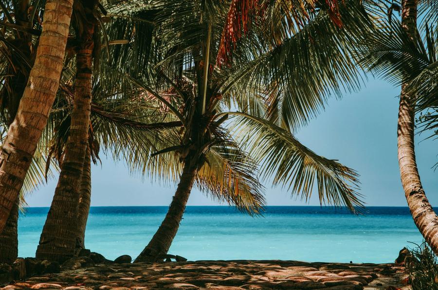 Palm trees above turquoise water on Nosy Iranja