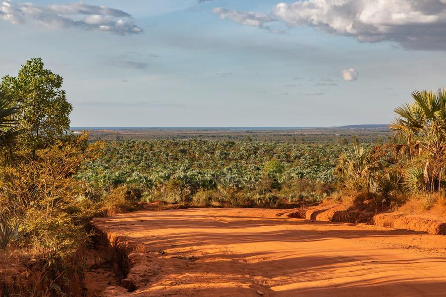 A red laterite road through palm savanna toward the sea, near Mahajanga