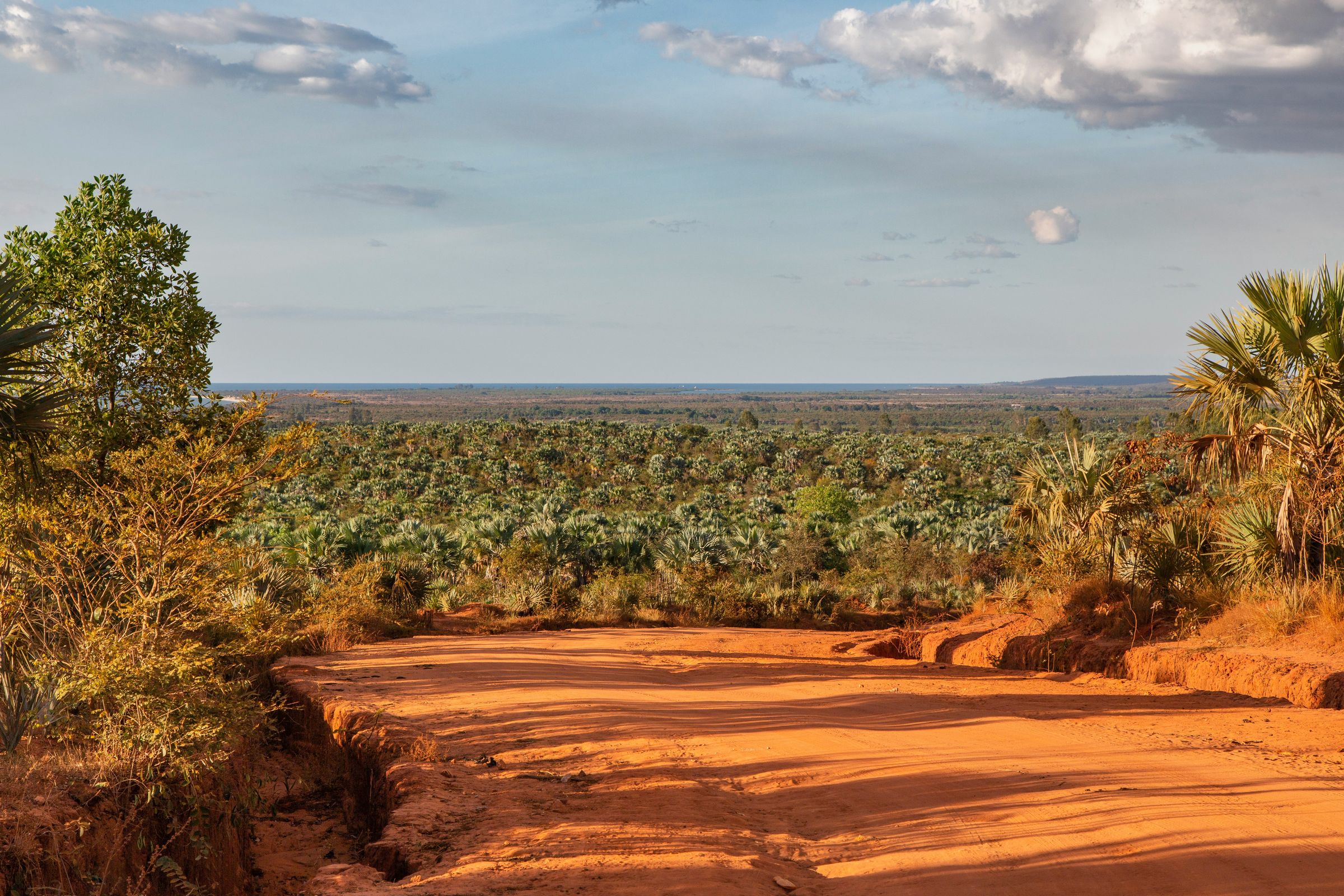 A red laterite road through palm savanna toward the sea, near Mahajanga