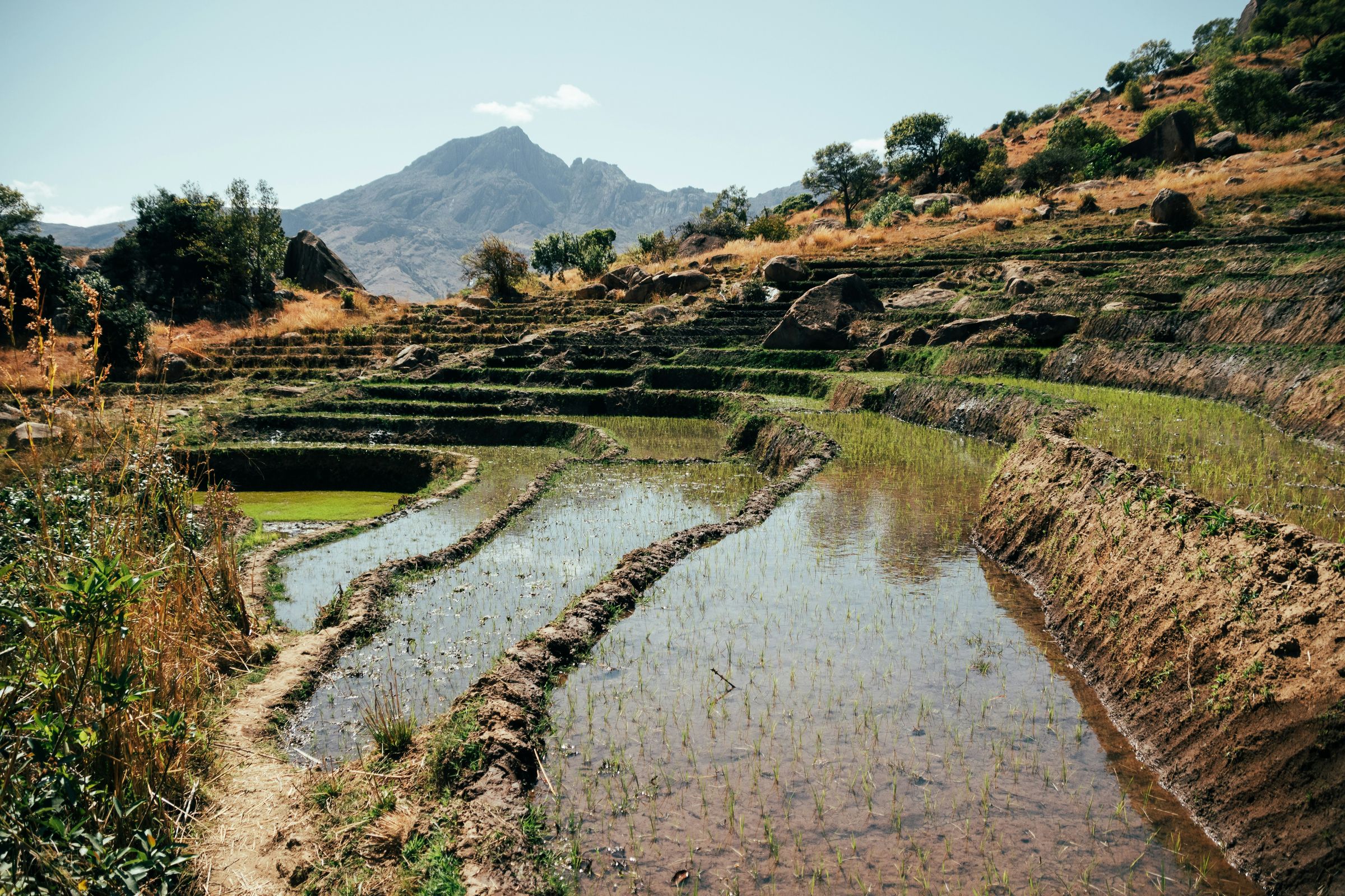Flooded rice terraces under a granite peak in the Tsaranoro valley