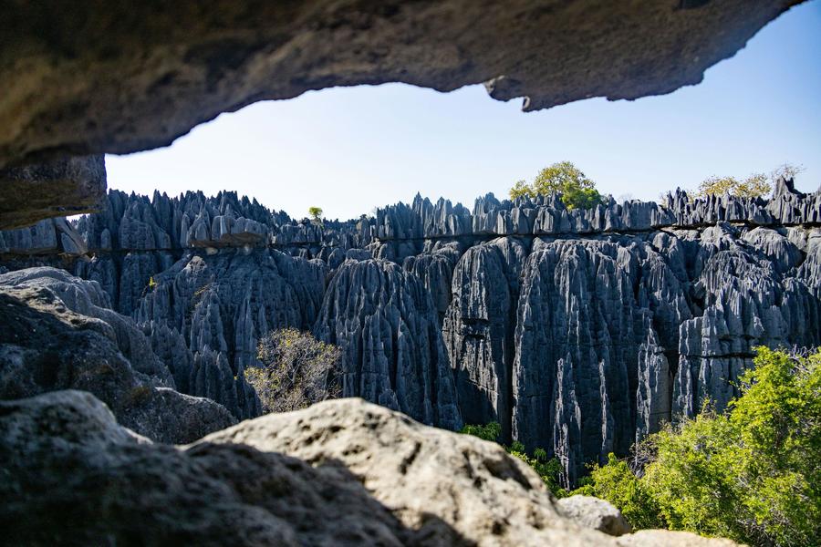 Grey limestone pinnacles seen from inside a rock shelter in Tsingy de Bemaraha