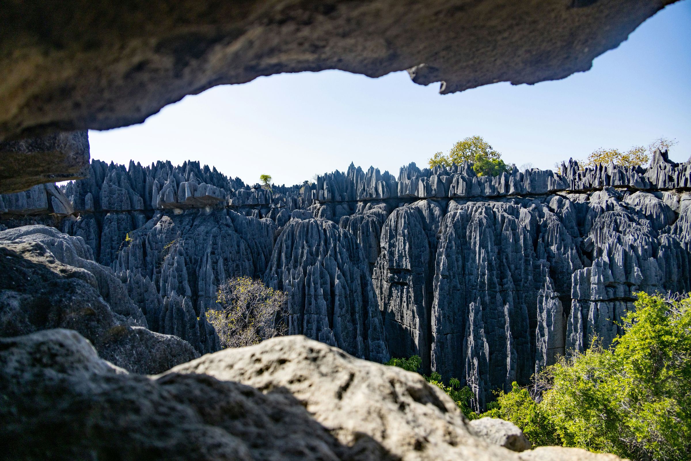 Grey limestone pinnacles seen from inside a rock shelter in Tsingy de Bemaraha