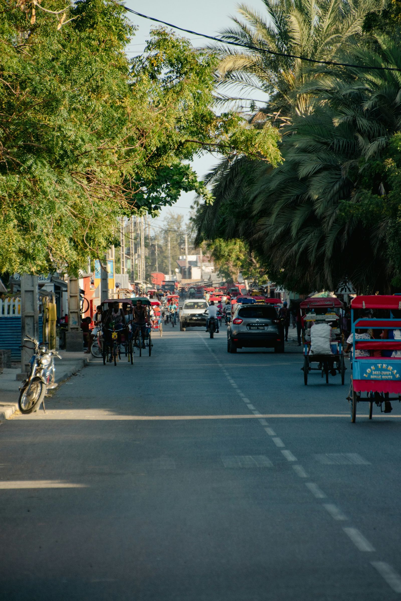 Pousse-pousses and cars under palms on one of the main streets of Tulear (Toliara)