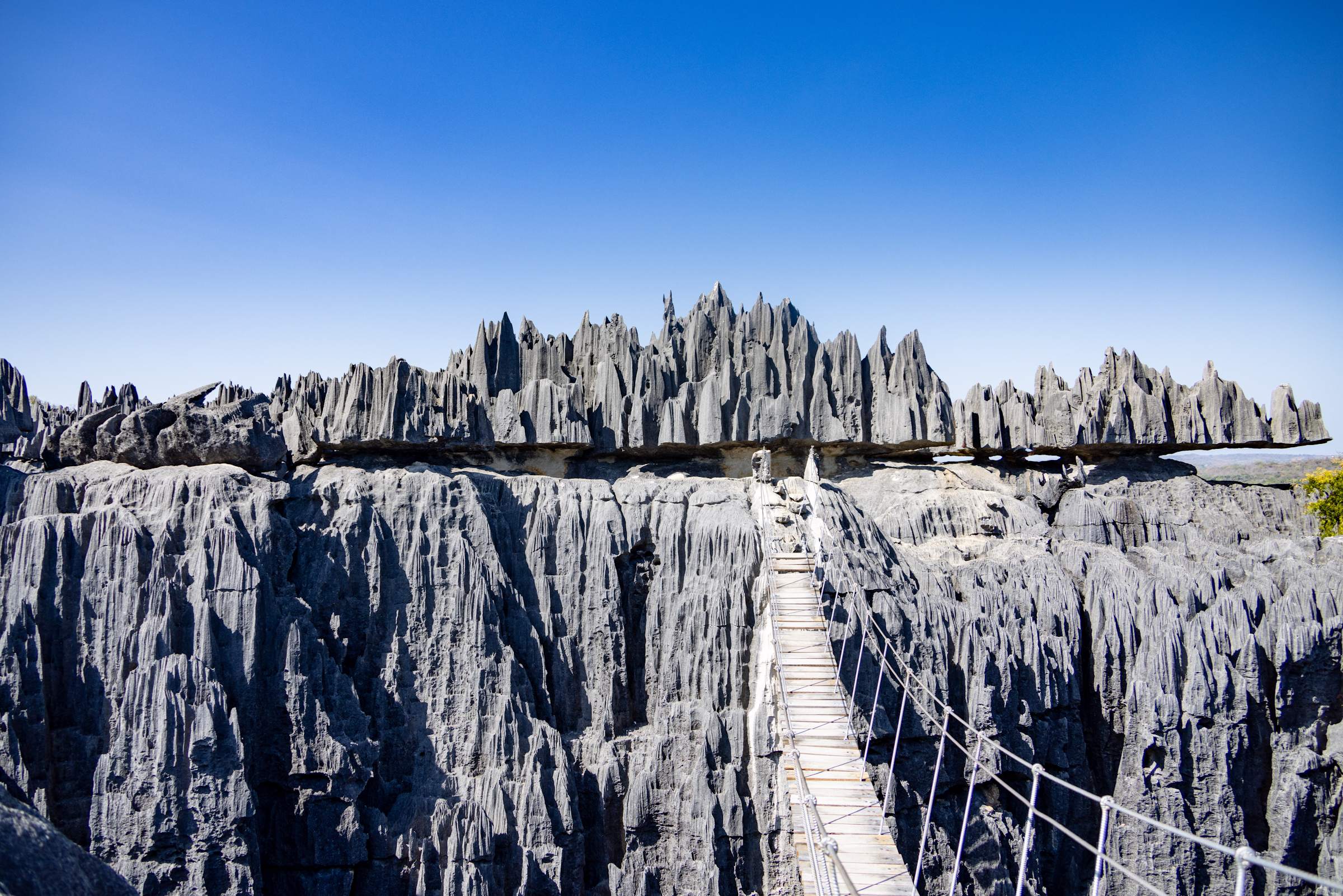 A rope bridge across the limestone pinnacles of Tsingy de Bemaraha, Madagascar