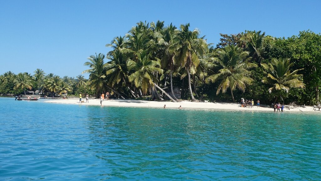 Palm trees above a turquoise beach