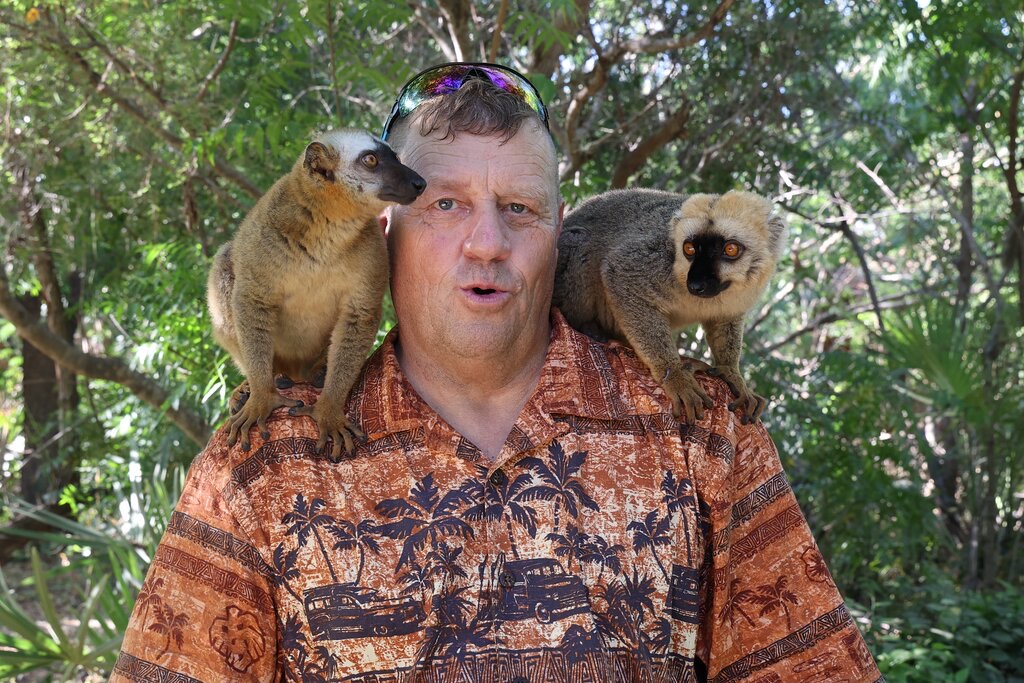 A traveller with two brown lemurs on his shoulders