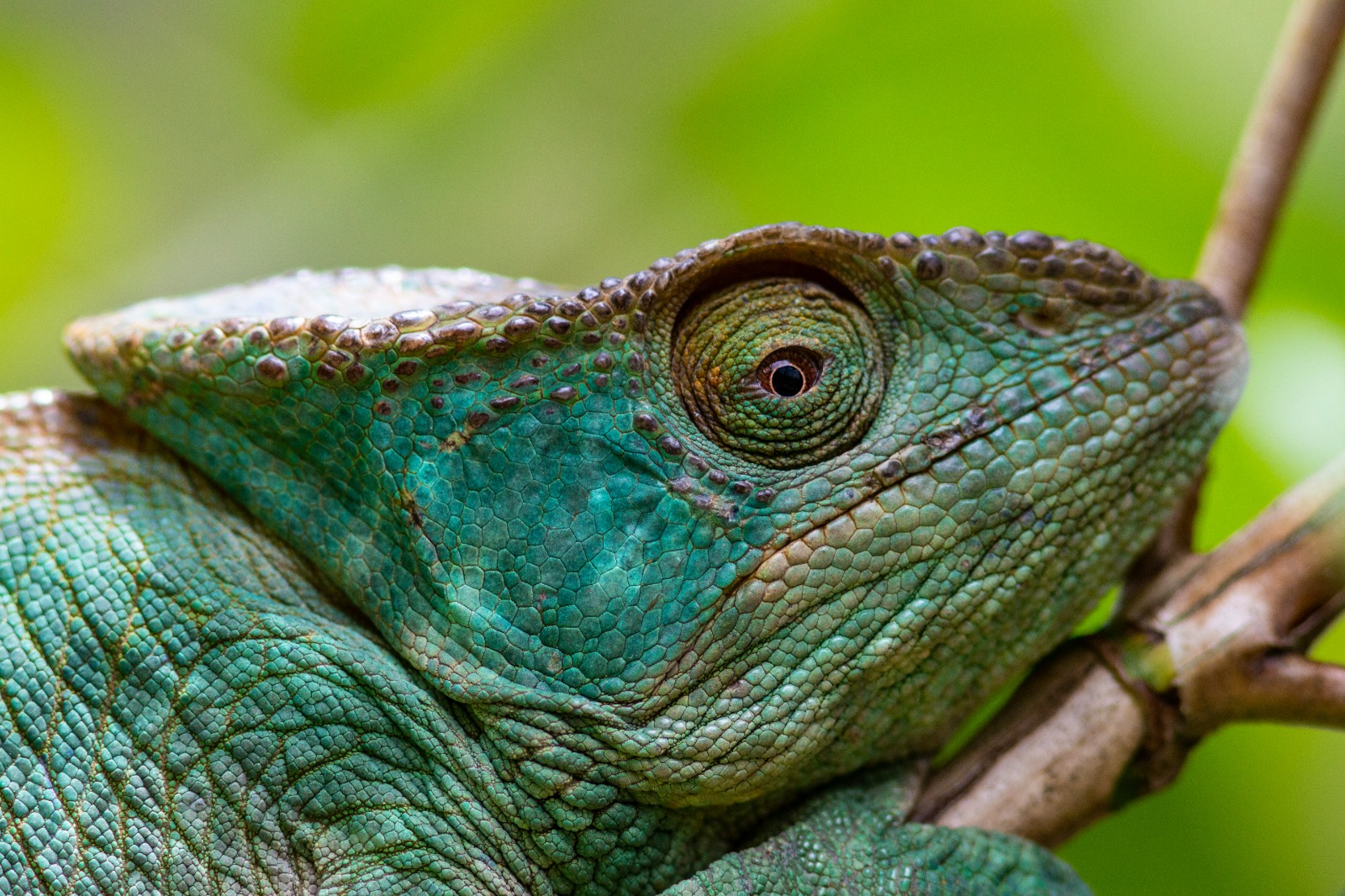 Planning a customised Madagascar itinerary